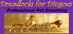 dreadlocks for dingoes